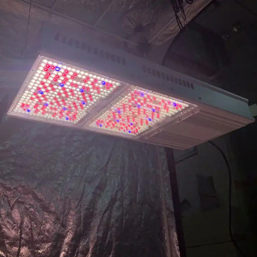 Indoor Full Spectrum Led Plant Grow Light Panel