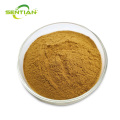 Premium Pure Silymarin Extract