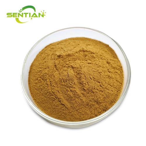 Premium Pure Silymarin Extract
