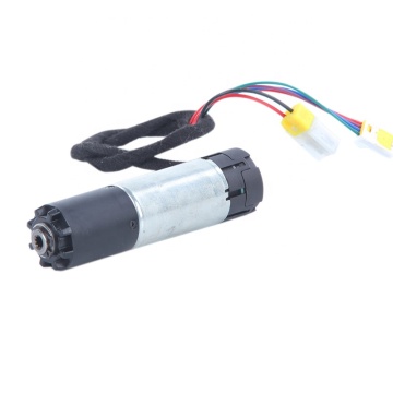 Automobile Tail Gate Motor 29JXL22G/30ZY80H-1265
