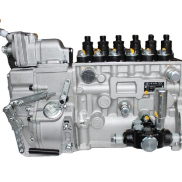 Fuel Injection Pump for C6121 Engine Wheel Loader Bp5676 P10z002