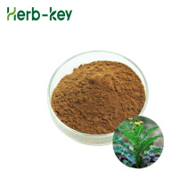 Dandelion Herb Root Leaf Extract Powder