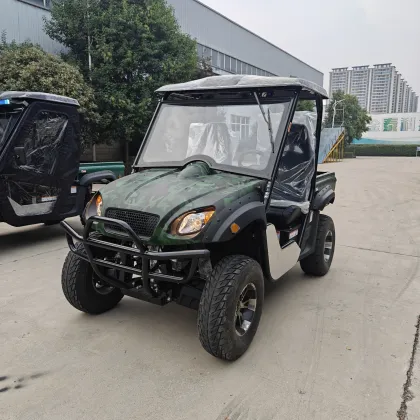 Customization Electric UTVs: Dual Motor Side-by-Side for Adults