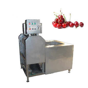 Cherry Destemming Machine - Factory Direct