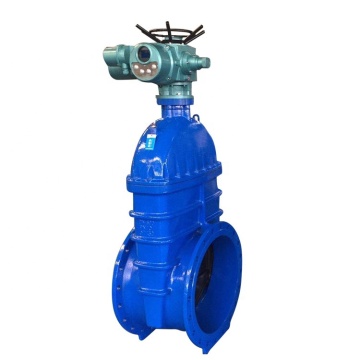 Flange Ductile Cast Iron Water Gate Valve PN16 Electric Non Return Valve for Water