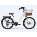 Lady Tern Electric Cargo Bike