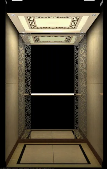 Home Elevator / House Elevator / Villa Elevator