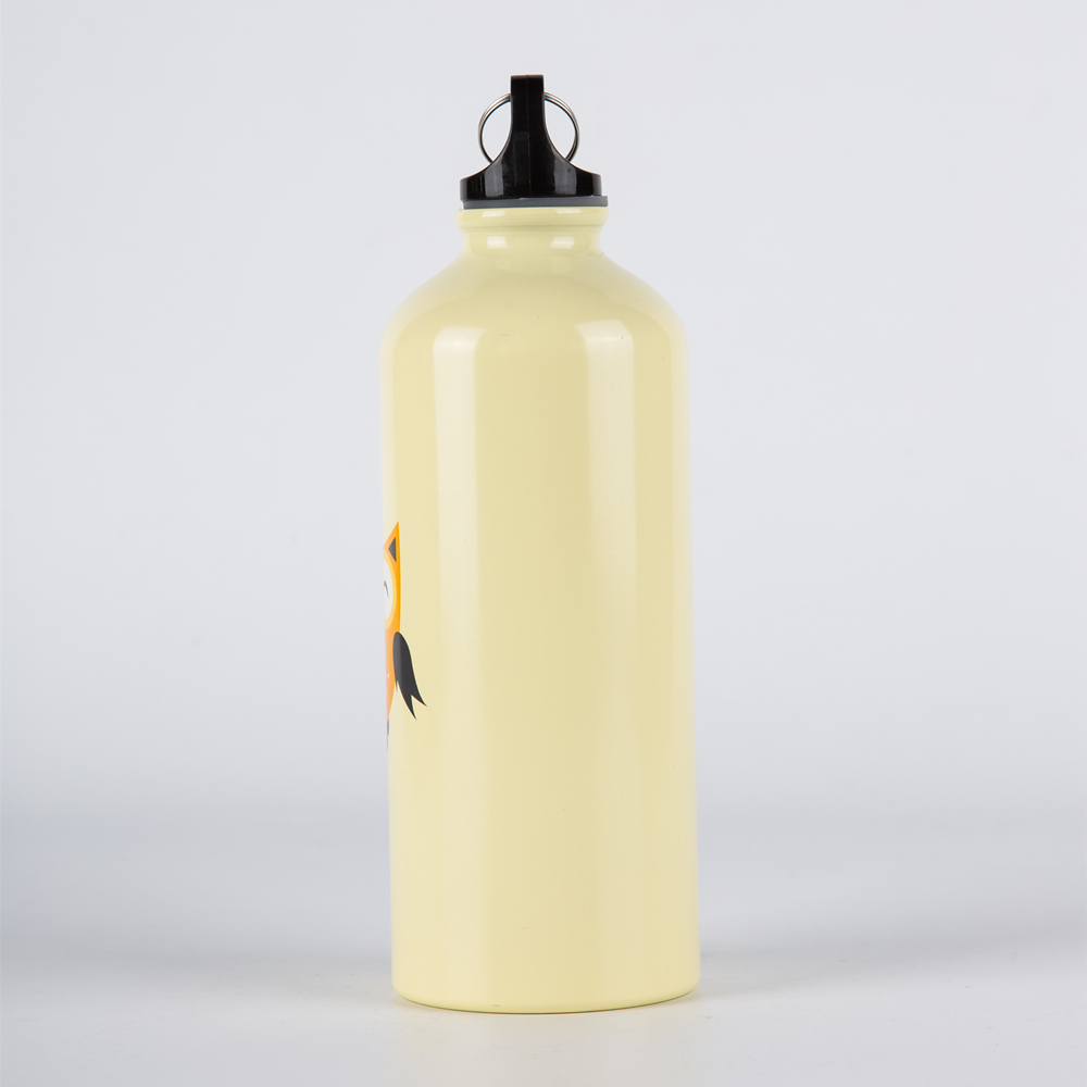 Aluminium Metal Water Bottle Insulated with Brush