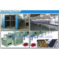 Channel Sterilizatin Drier for Bulk granule