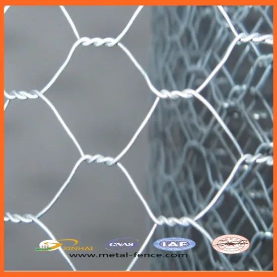 Hexagonal Wire Mesh/Galvanized Hexagonal Wire Mesh/PVC Coated Hexagonal Wire Mesh