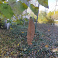 Corten Steel Decorative Lace Leaf Sculpture