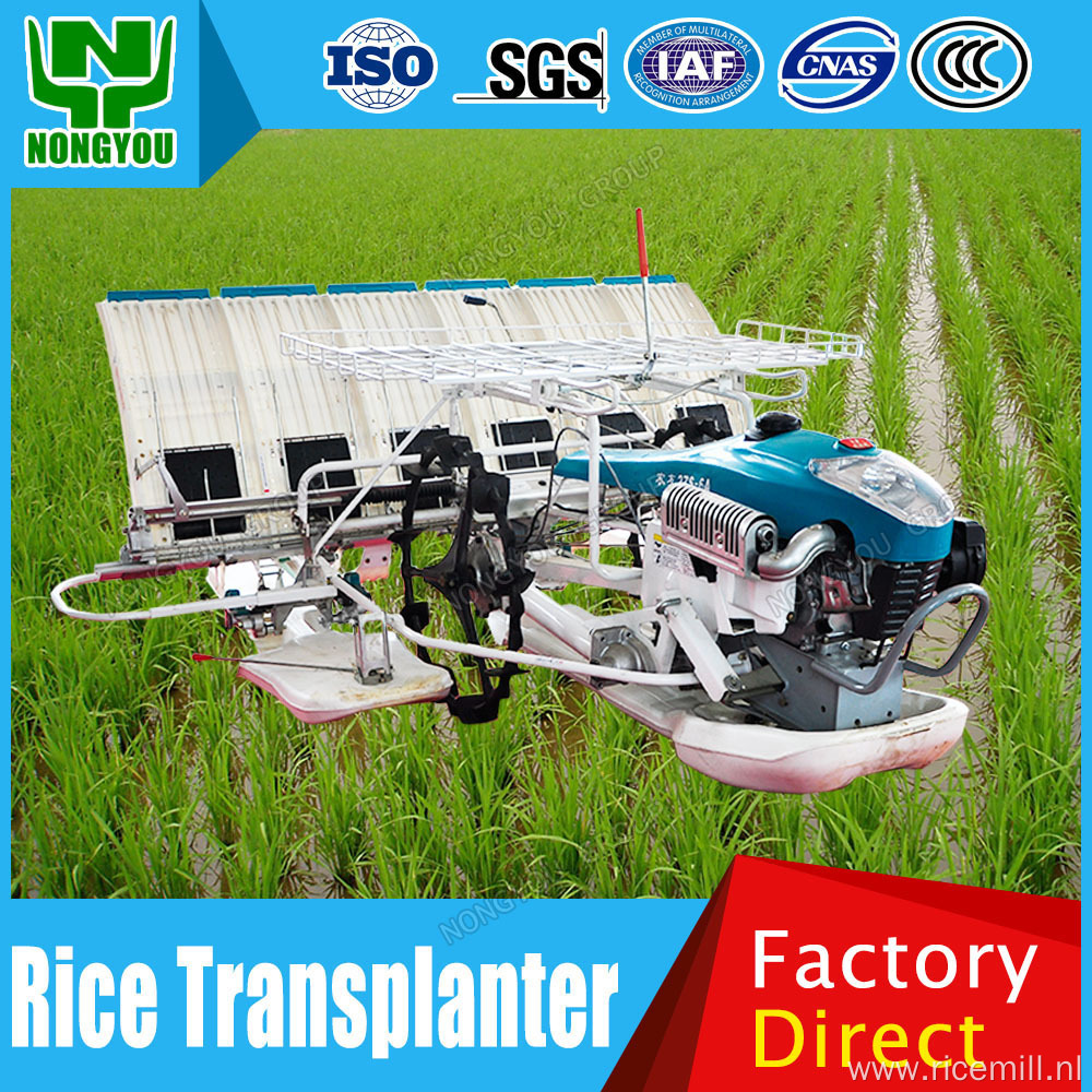 6 Rows Rice Plant Rice Planter Machine