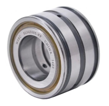 SL04-5009NR Double Row Cylindrical Roller Bearing 45x75x40mm