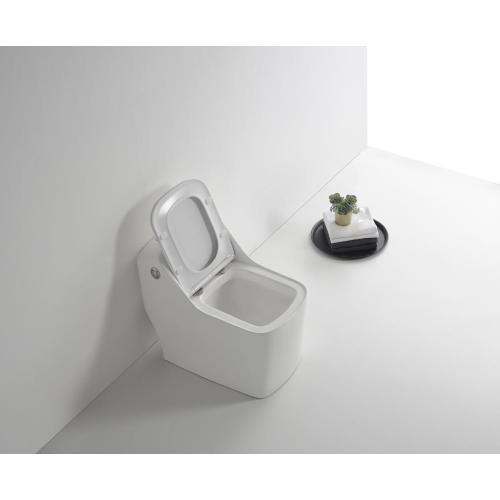 New small size siphonic square one piece toilet