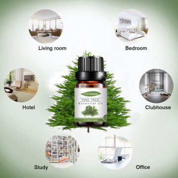 Private Labele Nature 100%Pure Pine Tree essential oil