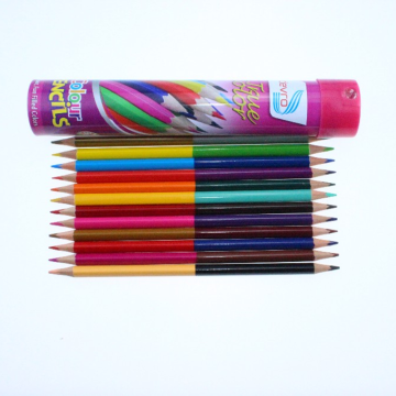Affordable Double Tip Twin Color Pencils, 12 PCS, 24 Art Colors, Perfect for Kids and School
