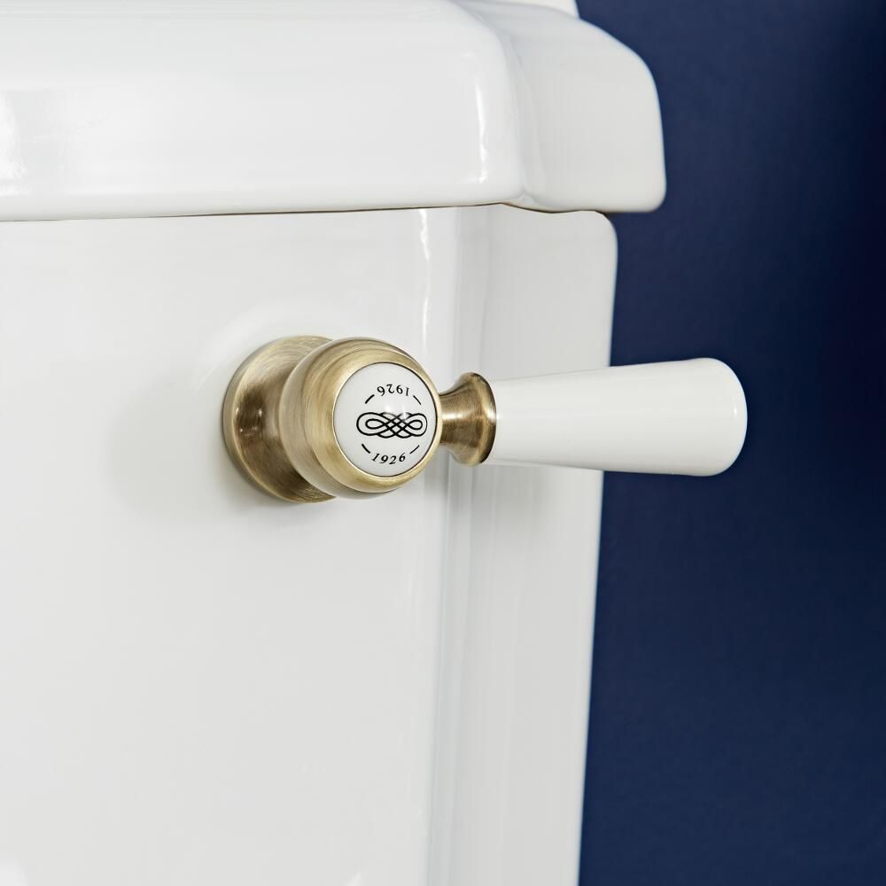 SS Chrome Enable Toilet Cistern Bide Wele Randle Ручка розкішна весла Metal Metal WC WC