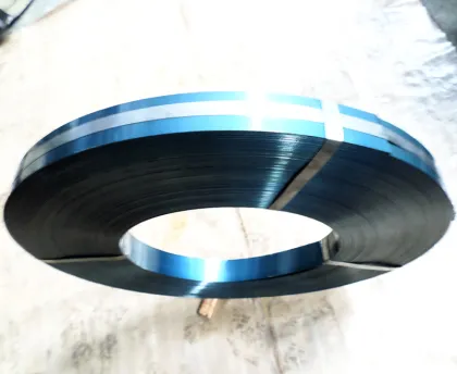 MOQ 2tons Good Blue Spring Steel Coils with China Origins