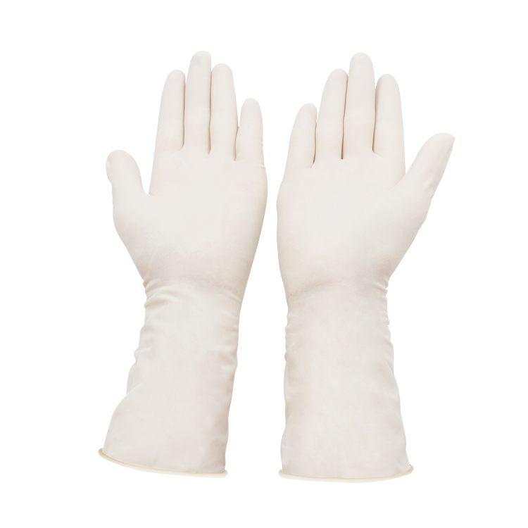 Surgical Gloves 05