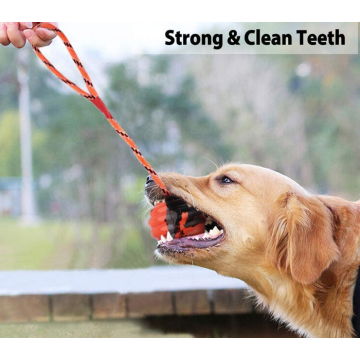 2 Pcs Dog Training Ball on Rope