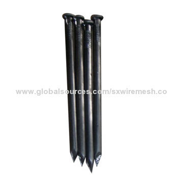 Common nails with good quality