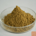 Andrographis Paniculata Extracto Andrographolide 50%