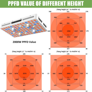 Phlizon 450W LED LED CRESCI