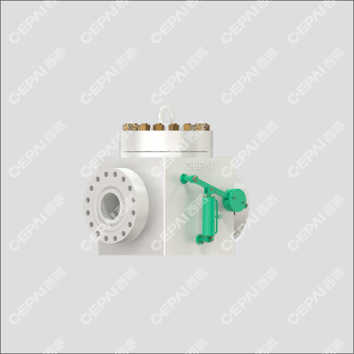 Swing check valve