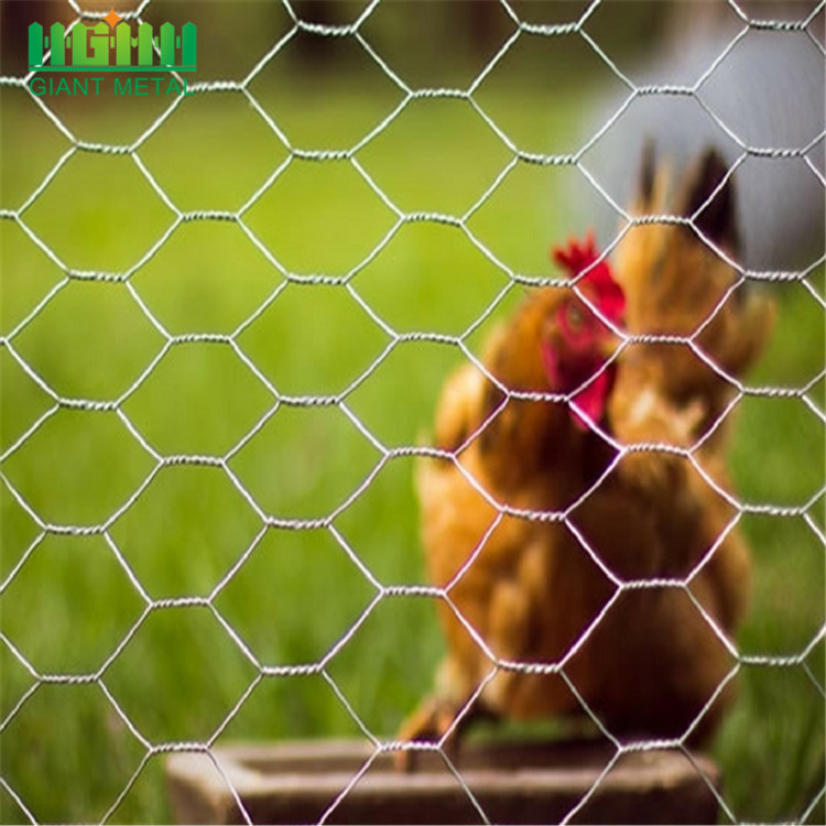 Galvanized Chicken Coop Hexagonal Wire Mesh in Nepal