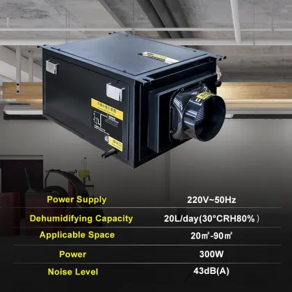 Portable 20L Air Dehumidifier for Ceiling - DY-C20DZ Green House Dehumidifier Machine