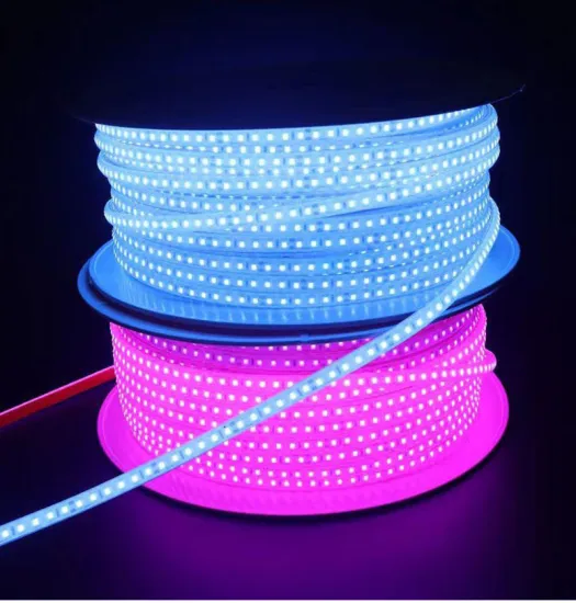 High-Quality IP68 Waterproof 24V SMD2835 Submersible LED Strip Light for Swimming Pool Decoration