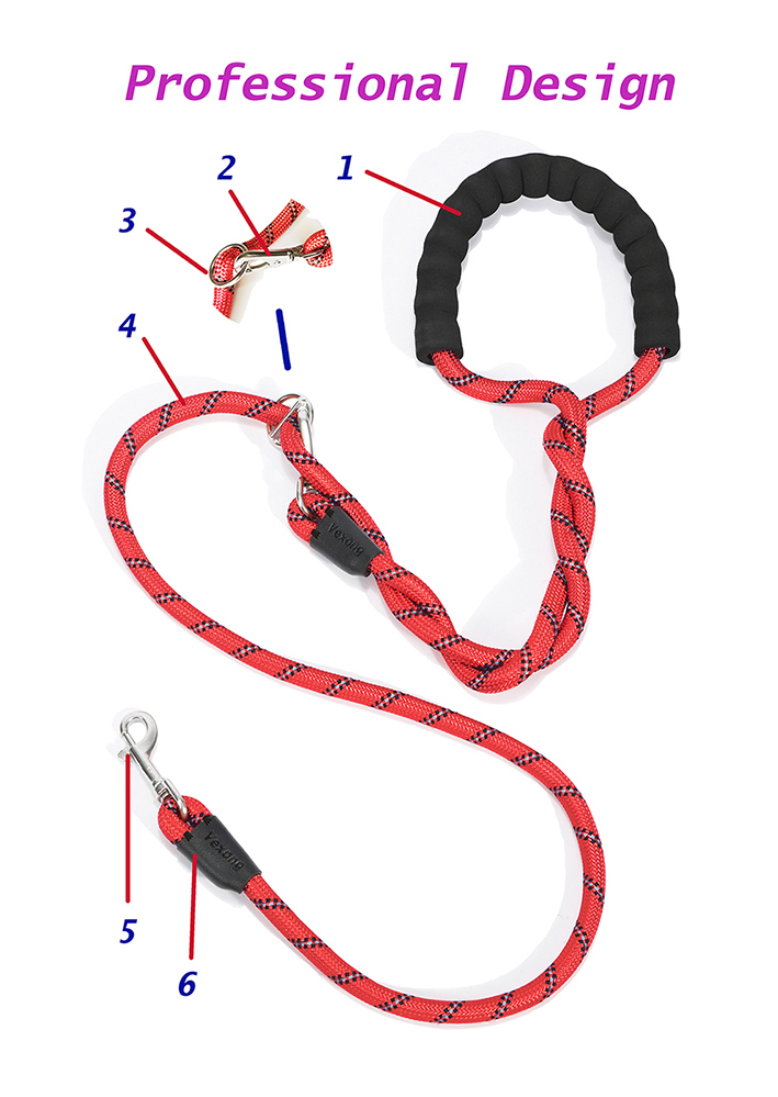 Professional Design