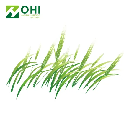 Barley Grass Juice Powder