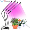 WENYI Best Quality Full Spectrum Grow Lights 640W