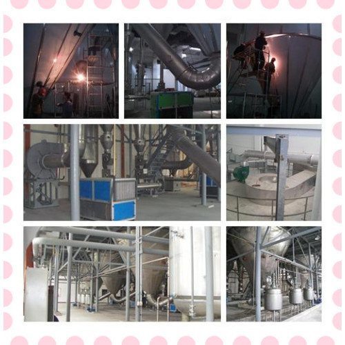 Herbal Spray Spray Dryer