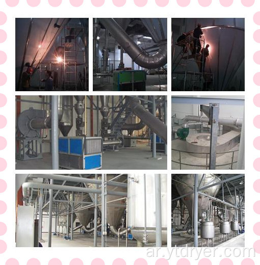 Dendrobium Extract Spray Dryer