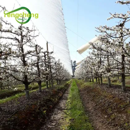 Grape Rain Covers Table Grape Rain Protection Covers