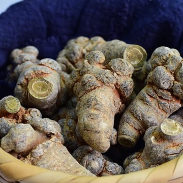 Panax Notoginseng без пестыцыдаў