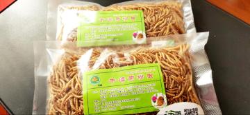Dry mealworm feed for pet