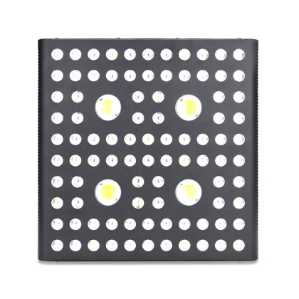 Custom Cree Grow Light Powerful 2000W