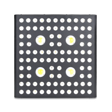 Herb LED Grow Light Vollspektrum