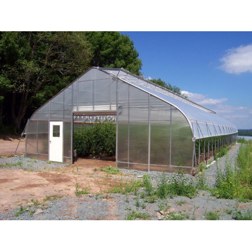 Struktur Gothic High Quality Arch Film Greenhouse