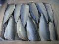 Export Export Frozen Mackrela Filet Cena Fish