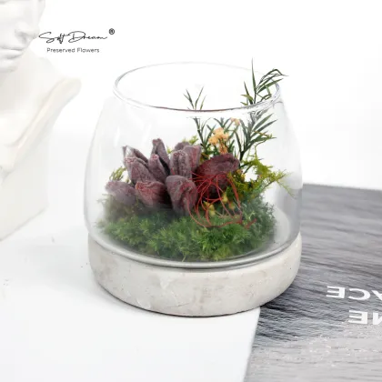 Preserved Moss and Botanicals for Home Decor and Gifts