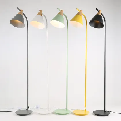 Colorful Macaron Floor Lamp for Living Room and Study