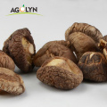 /company-info/1337194/dried-fruit-1748833/oem-factory-price-dried-shiitake-mushrooms-high-quality-dried-mushrooms-62873548.html