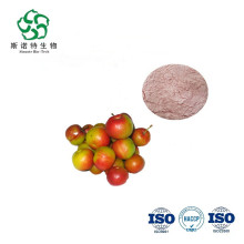 Water soluble probable fruit powder