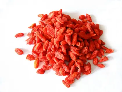 High quality goji berry fruit plant for sale