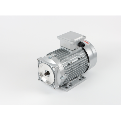 Ac motor