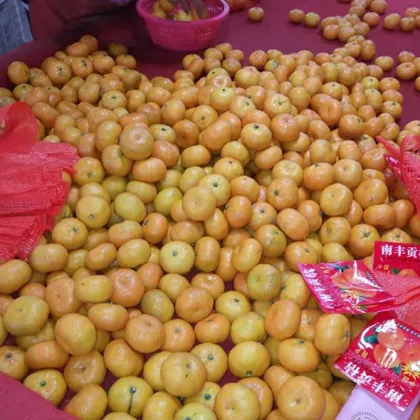Nanfeng Baby Mandarin Fruits